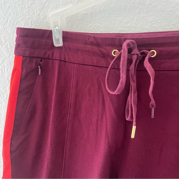 Anthropologie The Essential Slim Wine Red Striped Trouser Pants Size 10 - Picture 9 of 16